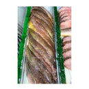 Avner's Wild Caught Red Snapper Fillet (12  oz - 16 oz) $29.99/lb