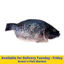 Avner's Farm Raised Whole Tilapia From Costa Rica (1.5 lbs - 2 lbs) $12.99/lb