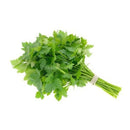 Fresh Parsley