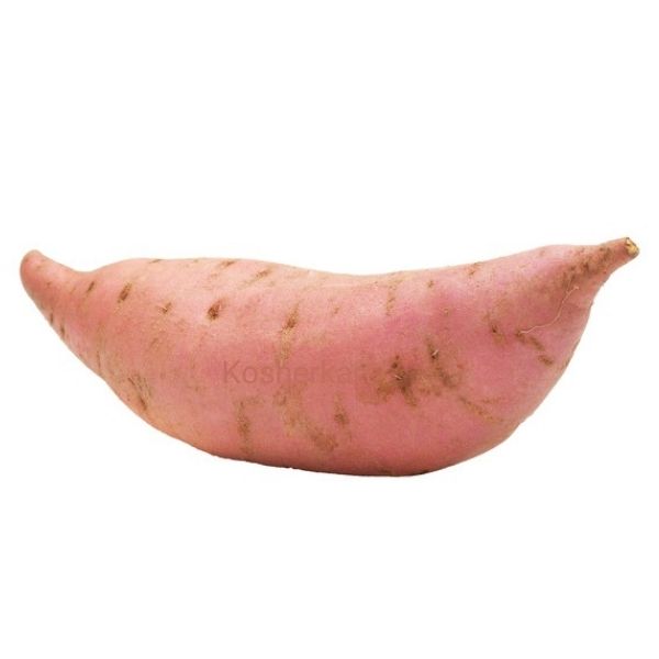 Small Sweet Potato (yam) 1 ct