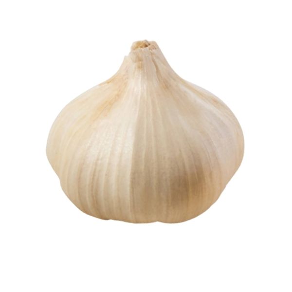 Garlic Bulb 1ct