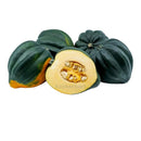 Acorn Squash