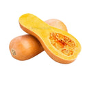 Butternut Squash