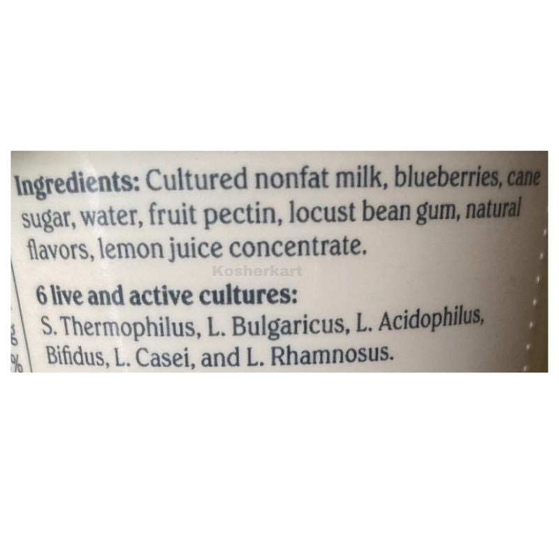 Chobani Nonfat Greek Yogurt Blueberry On The Bottom 5.3 oz