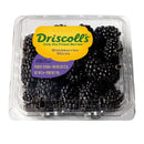 Fresh Blackberries
