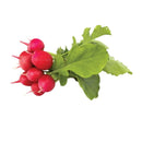 Radish Bunch