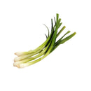 Scallions
