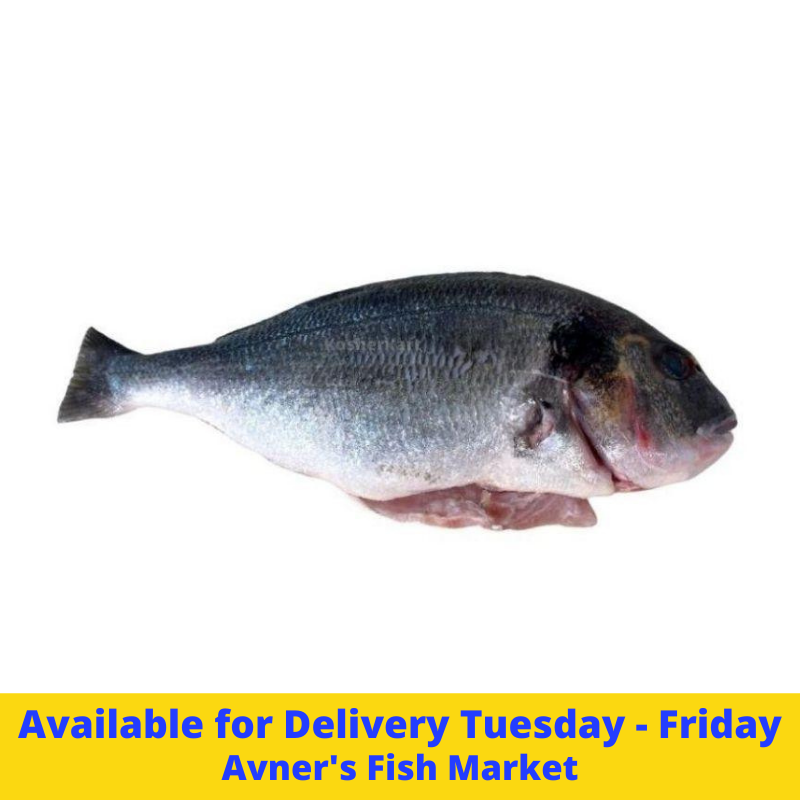 Whole Fresh Fish