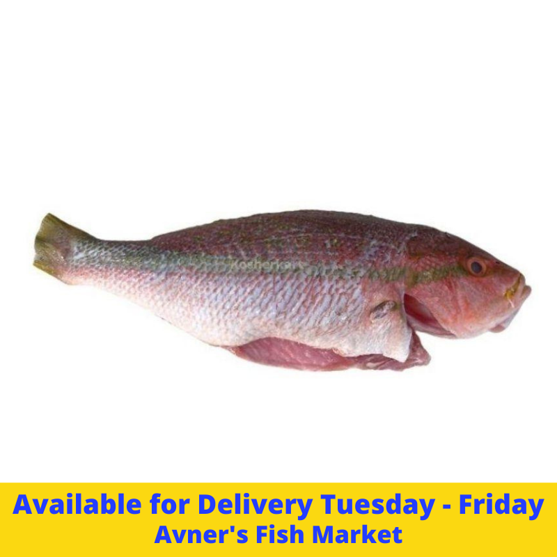 Avner's Wild Caught Whole Red Snapper (2 lbs - 3 lbs) $18.99/lb