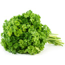 Fresh Curly Parsley