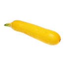 Yellow Squash